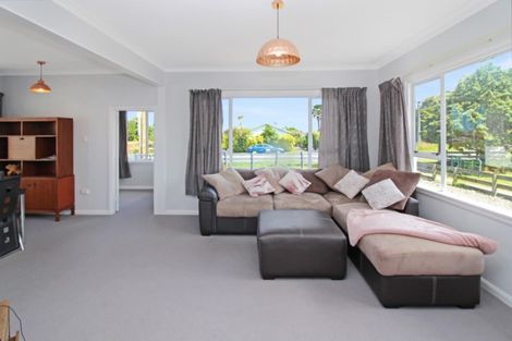 Photo of property in 15 French Street, Marton, 4710