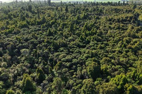 Photo of property in 37 South Terrace Road, Karamea, 7893