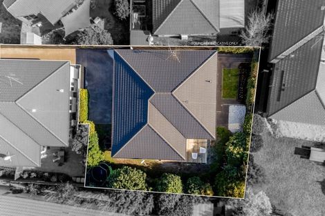 Photo of property in 5b Hibiscus Avenue, Mount Maunganui, 3116