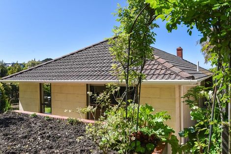 Photo of property in 38 Littlebourne Road, Roslyn, Dunedin, 9010