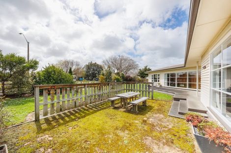 Photo of property in 117 Derby Street, Feilding, 4702