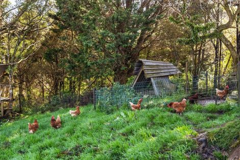 Photo of property in 280 Mount Tiger Road, Whareora, Onerahi, 0192