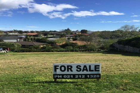 Photo of property in 113 Castlewold Drive, Bethlehem, Tauranga, 3110