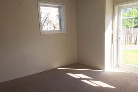 Photo of property in 17 Connolly Avenue, Mount Roskill, Auckland, 1041