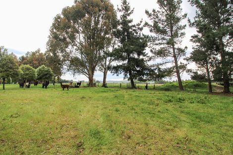 Photo of property in 278 Homestead Road, Weston, Oamaru, 9491