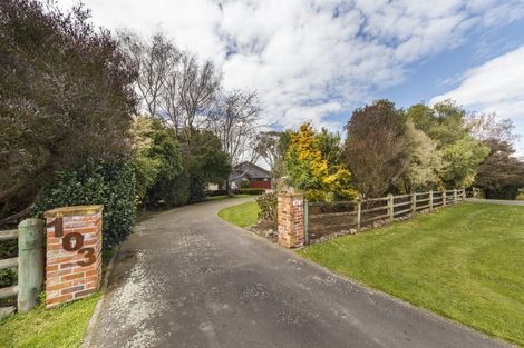 Photo of property in 103 Te Ngaio Road, Bunnythorpe, Feilding, 4775