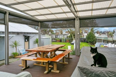 Photo of property in 76 Arapuni Street, Putaruru, 3411