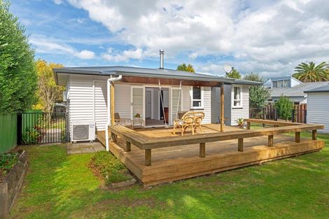 Photo of property in 10 Mangapapa Road, Mangapapa, Gisborne, 4010