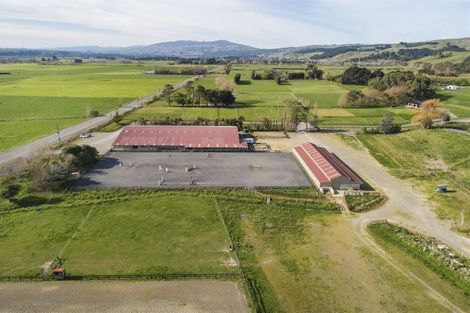 Photo of property in 480 Fitzherbert Road East, Aokautere, Palmerston North, 4471