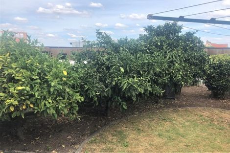 Photo of property in 3 Domain View Lane, Frankton, Hamilton, 3204