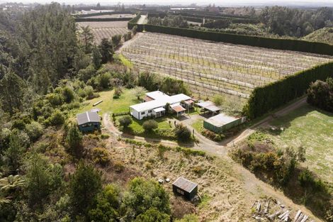 Photo of property in 736b No 2 Road, Te Ranga, Te Puke, 3182