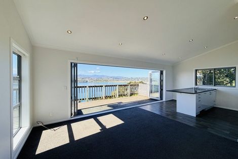 Photo of property in 55a Overtoun Terrace, Hataitai, Wellington, 6021