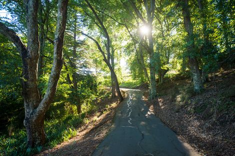 Photo of property in 250 Valley Road, Mangapapa, Gisborne, 4010