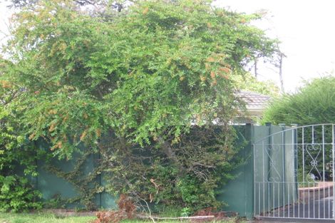 Photo of property in 41 Takapu Street, Henderson, Auckland, 0612