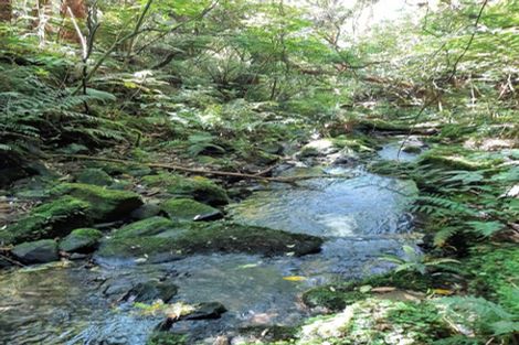 Photo of property in 290 Mount Cargill Road, Mount Cargill, Waitati, 9085