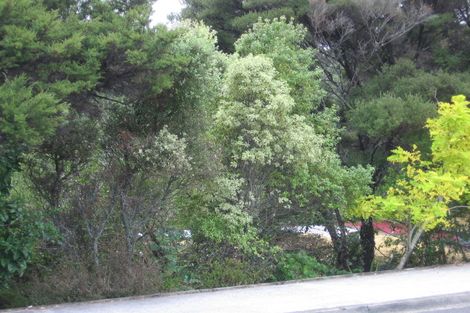 Photo of property in 31 Island Bay Road, Beach Haven, Auckland, 0626