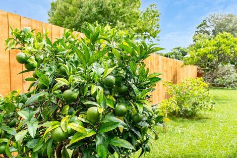 Photo of property in 44 Ross Street, Onerahi, Whangarei, 0110