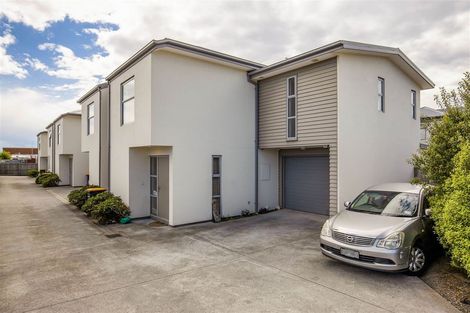 Photo of property in 101a Barbour Street, Waltham, Christchurch, 8011