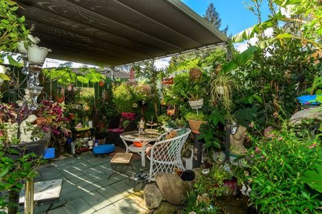 Photo of property in 35b Sutherland Road, Brookfield, Tauranga, 3110