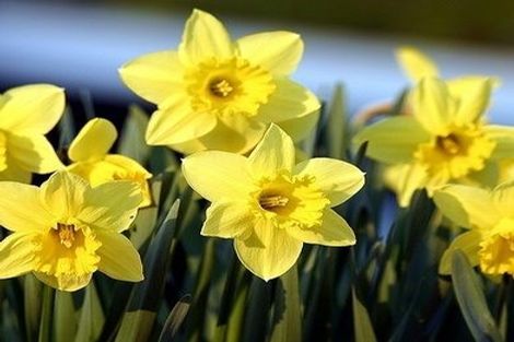 Photo of property in 18a Guinness Crescent, Ilam, Christchurch, 8041