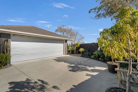 Photo of property in 189a Moffat Road, Bethlehem, Tauranga, 3110