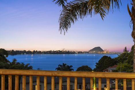 Photo of property in 202 Maungatapu Road, Maungatapu, Tauranga, 3112