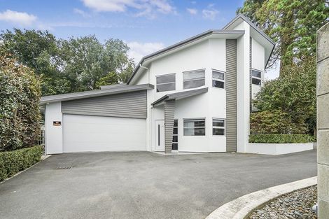 Photo of property in 644c River Road, Chartwell, Hamilton, 3210