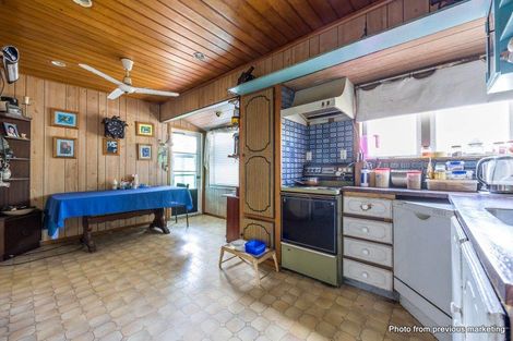 Photo of property in 50 Harrington Road, Henderson, Auckland, 0610