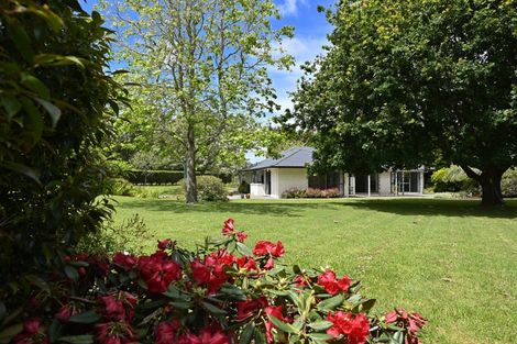 Photo of property in 230 Taupaki Road, Taupaki, Henderson, 0782