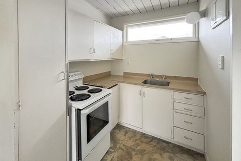 Photo of property in 1-6/31 Albert Street, Palmerston North, 4414