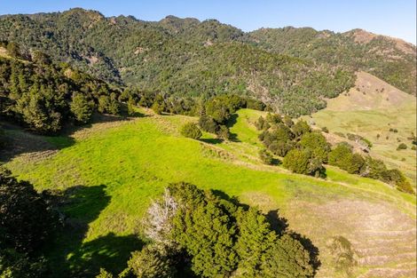 Photo of property in 1169 Tangihua Road, Maungakaramea, 0178