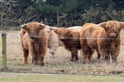 Photo of property in 3028 South Eyre Road, Oxford, Rangiora, 7476