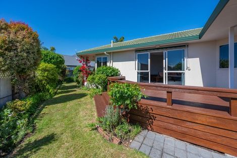 Photo of property in 17 Kingsgate Avenue, Havelock North, 4130