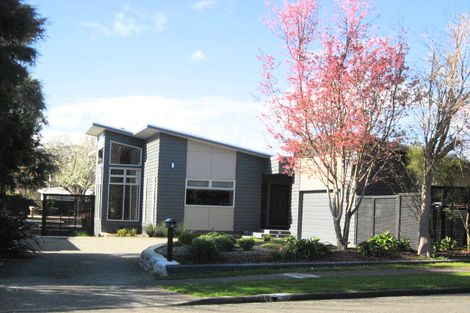 Photo of property in 9 Macarthur Street, Levin, 5510