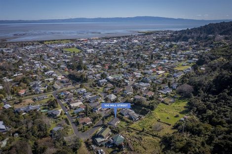 Photo of property in 100 Mill Street, Thames, 3500