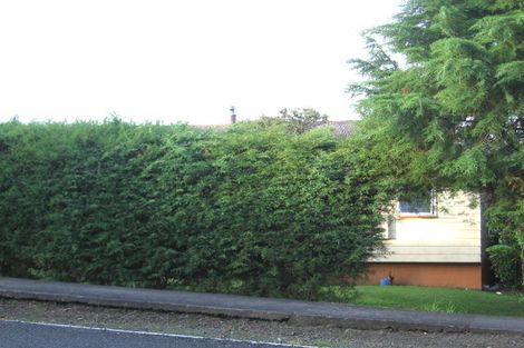 Photo of property in 48 Parrs Cross Road, Henderson, Auckland, 0612