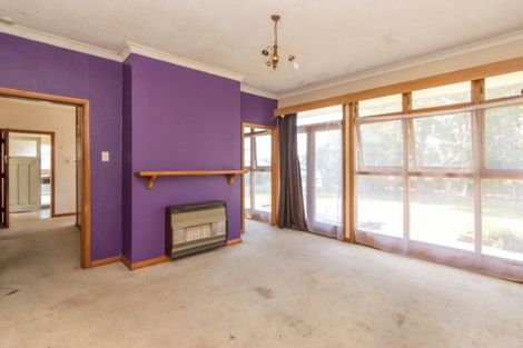 Photo of property in 94 Botanical Road, Takaro, Palmerston North, 4412