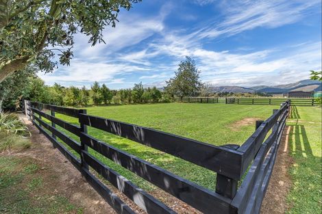 Photo of property in 51 Laward Road, Shannon, Palmerston North, 4474