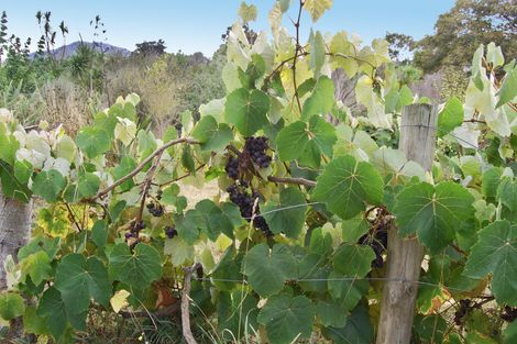 Photo of property in 126 Oneriri Road, Kaiwaka, 0573