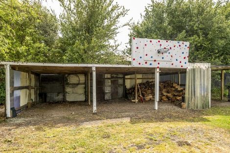 Photo of property in 12 Hawkswood Street, Waiau, 7332