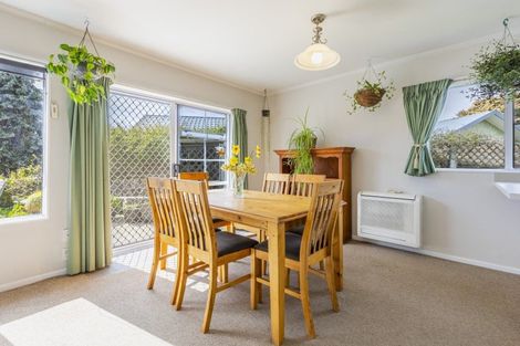Photo of property in 19c Holyrood Terrace, Waipukurau, 4200