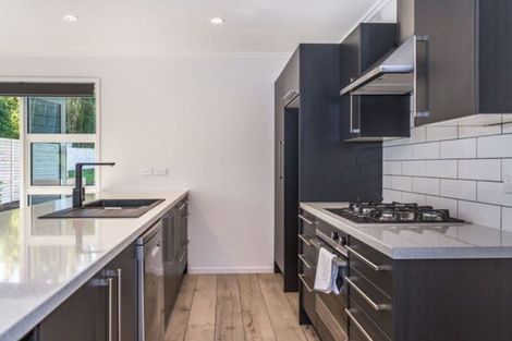 Photo of property in 26 Jonah Lomu Drive, Paerata, Pukekohe, 2124