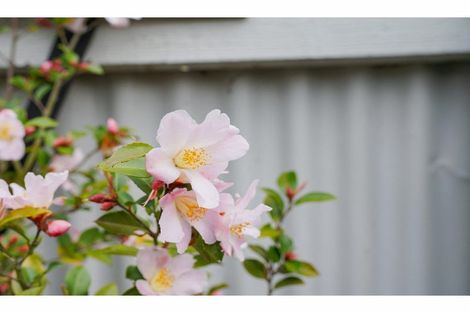 Photo of property in 1/103 Fox Street, Avenal, Invercargill, 9810