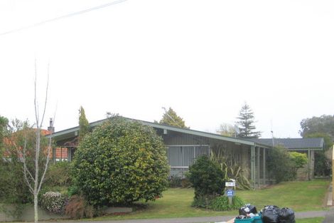 Photo of property in 17 David Street, Morrinsville, 3300