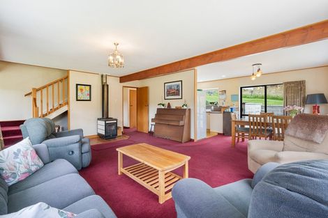 Photo of property in 41 Glenelg Street, Bradford, Dunedin, 9011