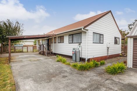 Photo of property in 249 Cambridge Avenue, Ashhurst, 4810