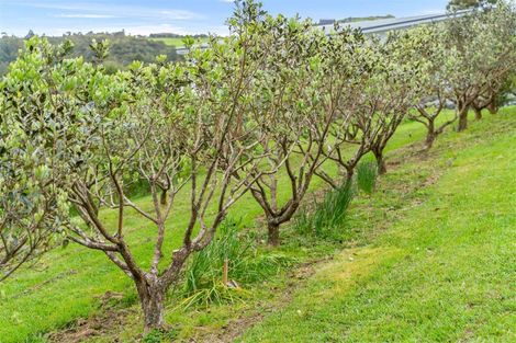 Photo of property in 1612b Pakiri Road, Tomarata, Wellsford, 0972