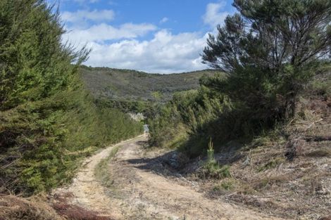 Photo of property in 1755 Whangarei Heads Road, Whangarei Heads, Whangarei, 0174