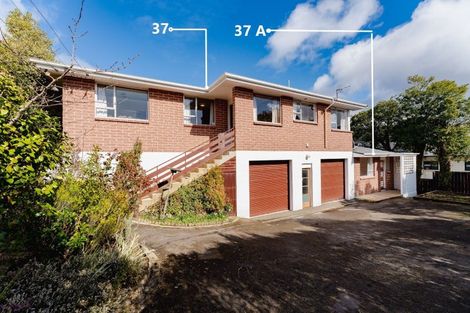 Photo of property in 37 Wales Street, Maori Hill, Dunedin, 9010