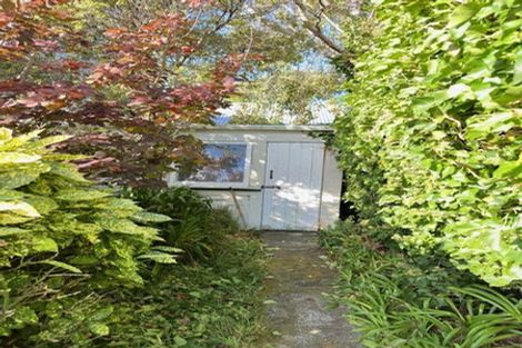 Photo of property in 103 Coromandel Street, Newtown, Wellington, 6021